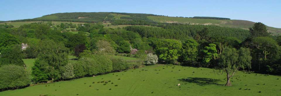 Beautiful countryside surrounding our holiday cottages