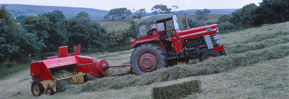 Massey Ferguson making hay on Plas Farm in South Wales during the 1960s